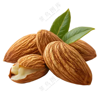 新鲜饱满的带叶杏仁果实