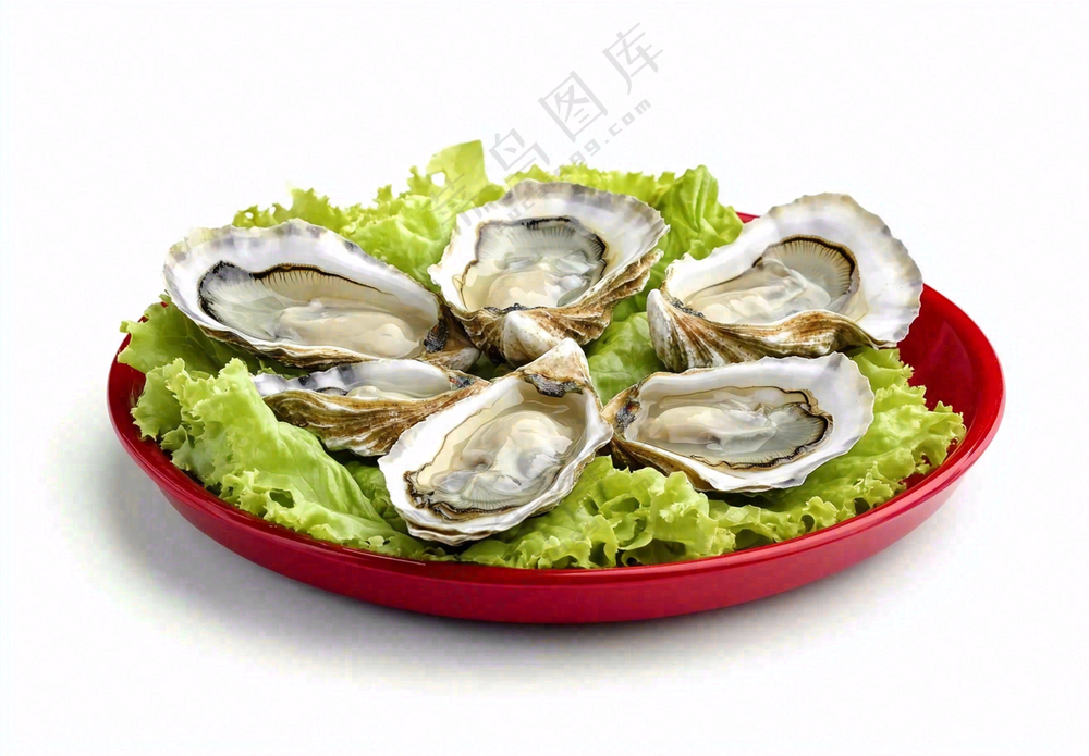 新鲜生蚝宵夜食物海鲜摄影图