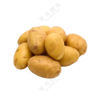 个头匀称的精选马铃薯免抠图片素材