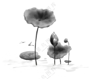 黑白绘画创意荷花植物PNG图片素材