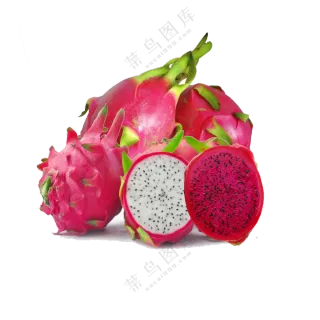 红白心两种火龙果主题免抠图片素材