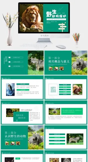 保护野生动物绿色环保PPT预览图