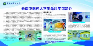 学校海报、中医学、生命科学