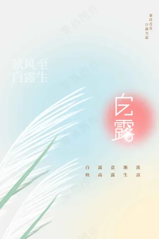 白露节气传统活动海报