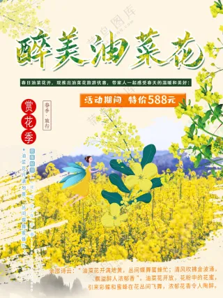 醉美油菜花节花海踏青户外乡旅游文化节海报
