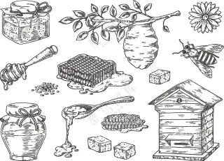 蜜蜂，蜂巢，蜂罐，蜂窝，蜂蜜块