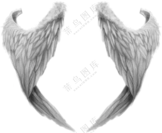 灰白色的羽毛翅膀装饰创意PNG图片