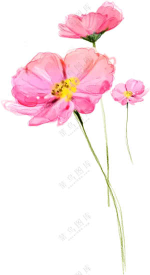 粉红色的花朵前景装饰免抠图片素材