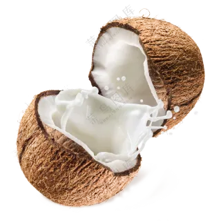 椰子免抠图片素材