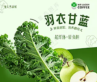 羽衣甘蓝（果蔬）