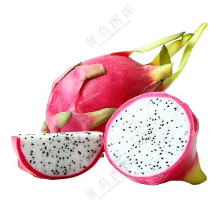 红皮白肉的火龙果主题免抠图片素材