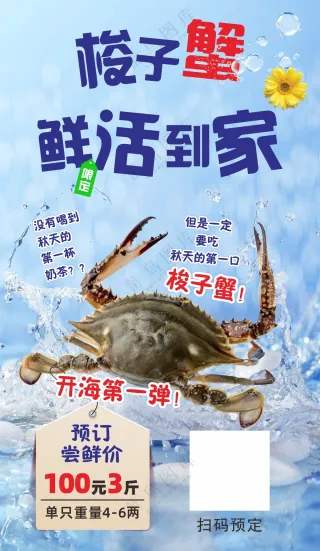 梭子蟹美食海报素材