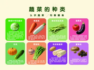 暖色简约蔬菜的种类