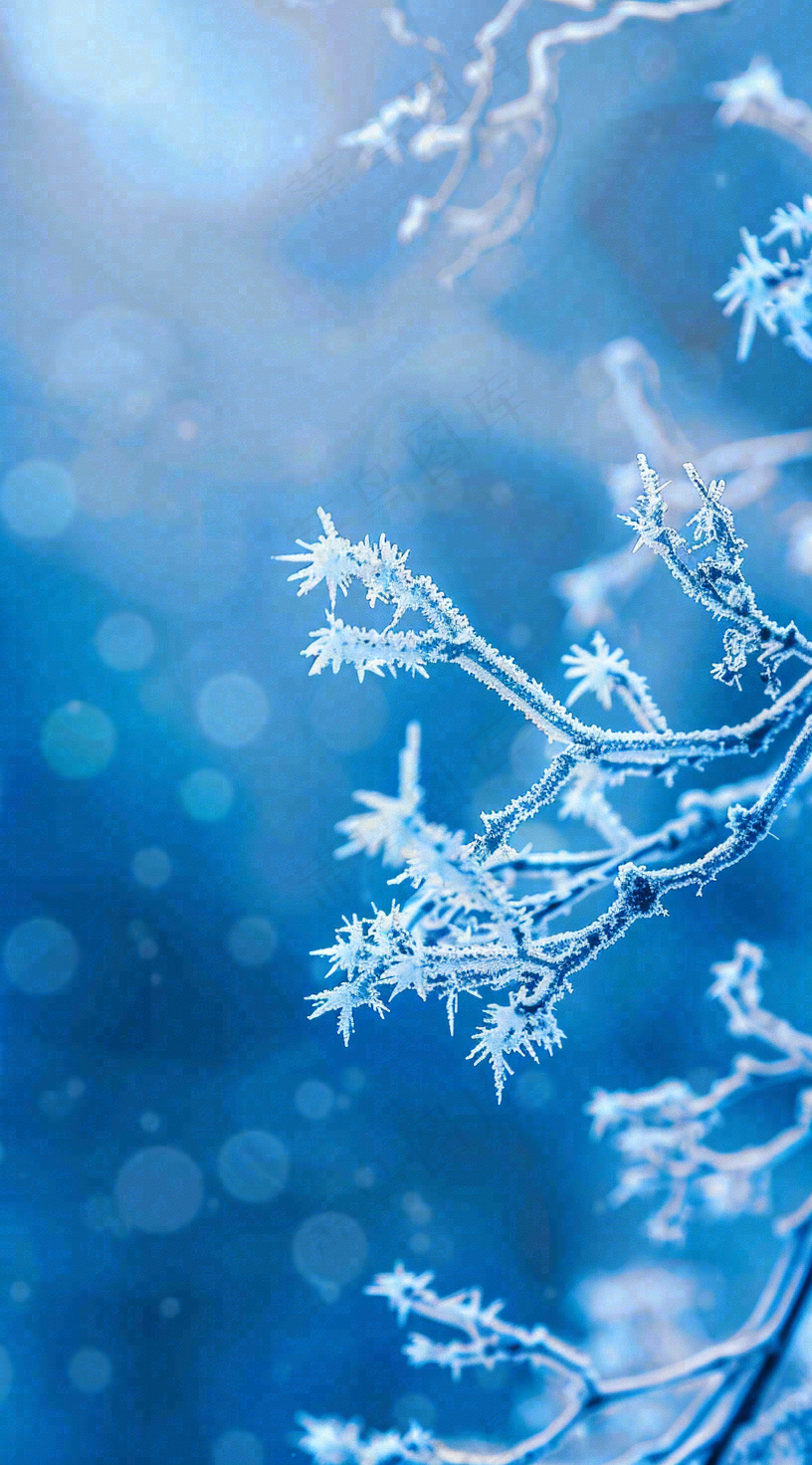 冬天寒冷白雪结冰大寒摄影图