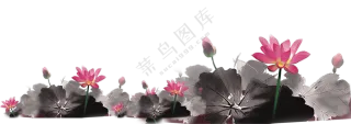 水墨风呈现的池塘荷花绘画PNG图片