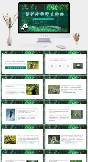 保护野生动物绿色环保PPT预览图