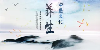 养生中医文化海报素材