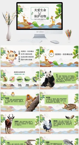 保护野生动物绿色环保PPT预览图