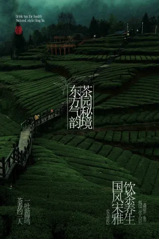 茶饮茶叶茶园活动宣传海报