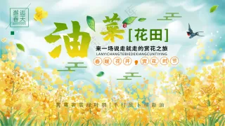 春日油菜花海浪漫黄色背景板海报