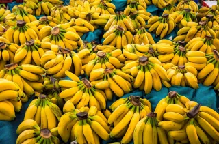 香蕉成熟水果摄影图