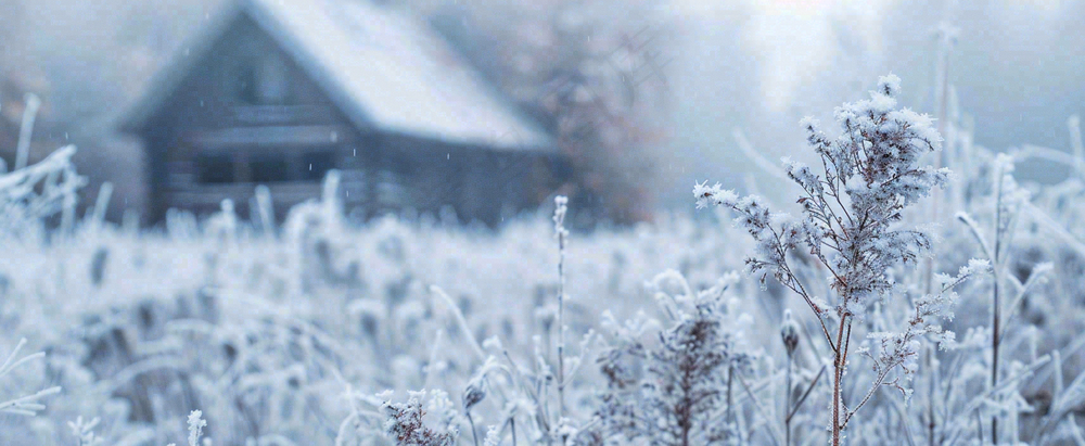 冬天植物森林里的木屋白雪覆盖小寒小雪摄影图