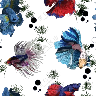 水中植物与游动的金鱼免抠图片素材