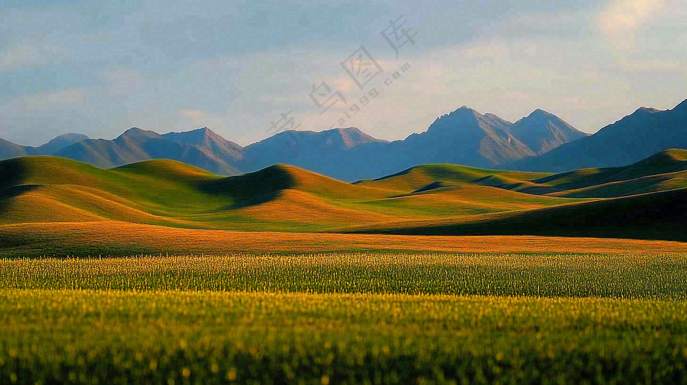立秋高山草甸黄色山峦风景摄影图