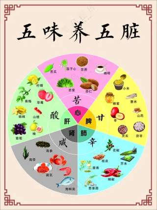 简约五脏养生图