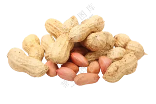 花生壳与红皮花生主题免抠图片素材