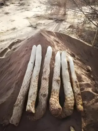 微信图片_20250519112612