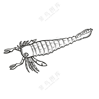 板足鲎-古海洋生物/线稿/卡通