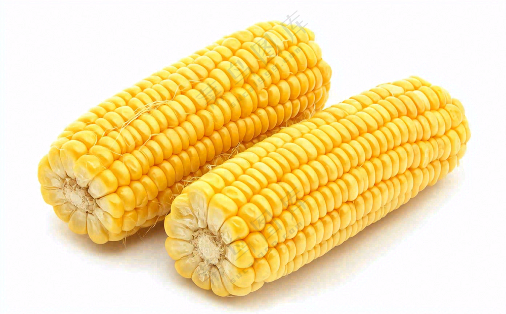 玉米蔬菜生鲜摄影图
