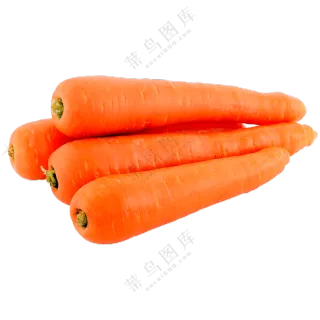 几根鲜甜爽脆的胡萝卜免抠图片素材