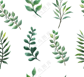 水彩效果植物绿色叶子免抠图片素材