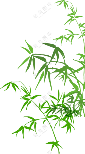 竹子  竹叶  竹林  手绘竹子   点缀   免抠素材