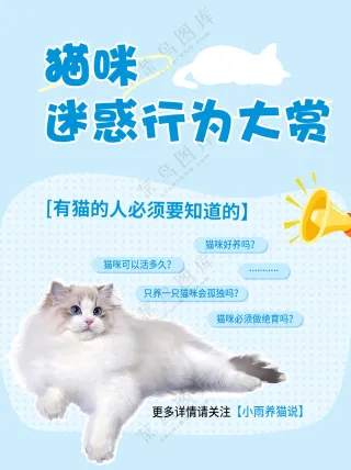 蓝色简约卡通猫咪海报