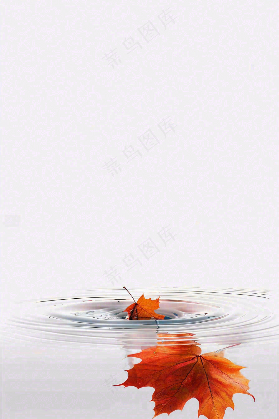 秋天枫叶掉落在水面倒影立秋秋分摄影图