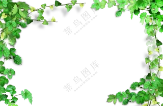 攀爬植物藤蔓装饰边框免抠图片素材