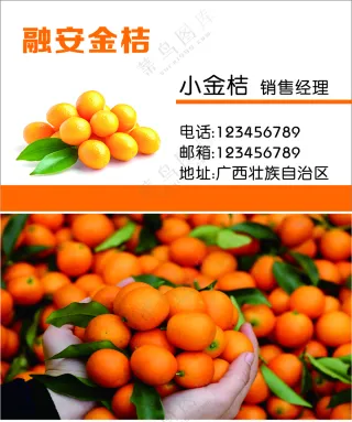 广西融安金桔水果批发名片