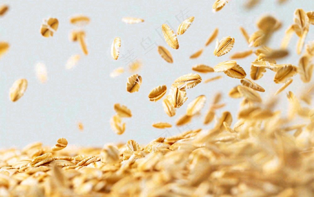 世界粮食日谷物米饭稻谷小麦摄影图