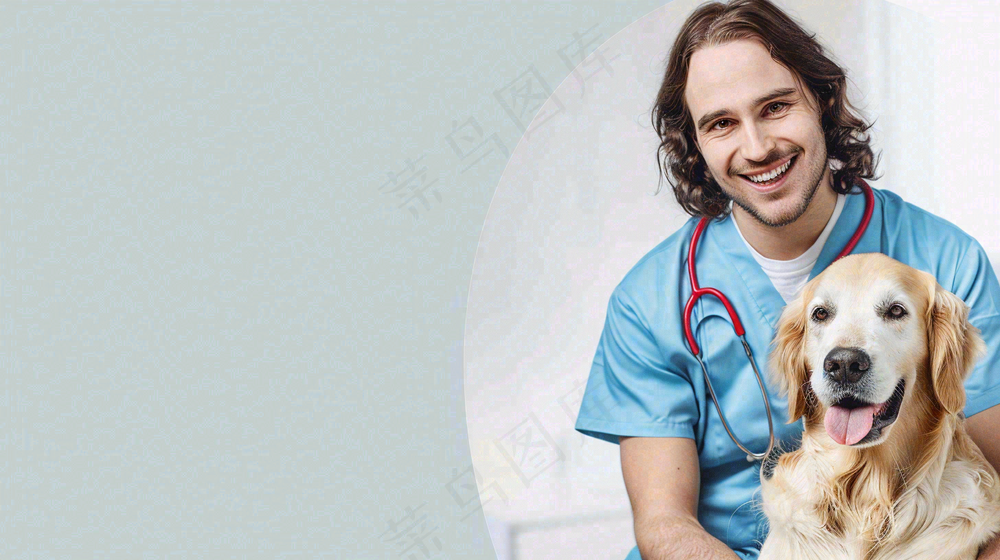 宠物医院猫狗生病救治摄影图