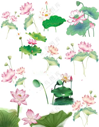 水墨风荷花荷叶插画元素大合集