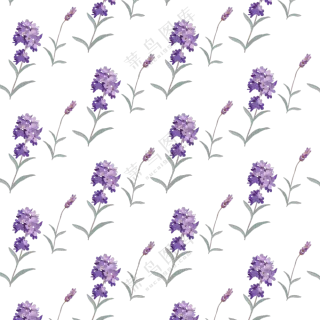 紫色花草植物装饰图案免抠图片素材