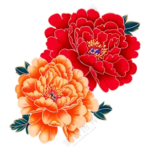 红色牡丹花素材