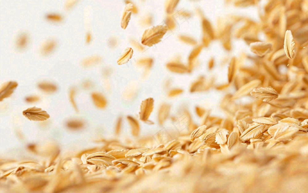 世界粮食日谷物米饭稻谷小麦摄影图