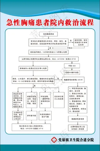 急性胸痛患者院内救治流程图
