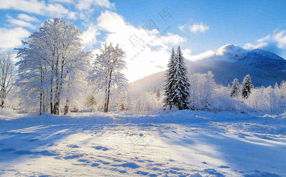 大雪雪山雾凇雪景大自然阳光摄影图