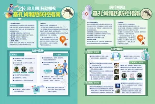 基孔肯雅热学校幼儿园托幼医疗机构防控