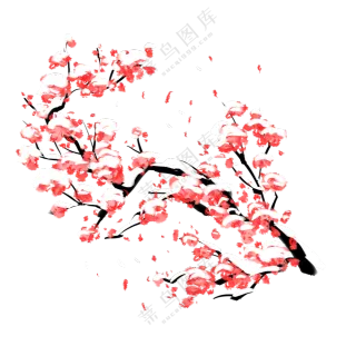 飘雪中绽放的红色花朵绘画免抠图片